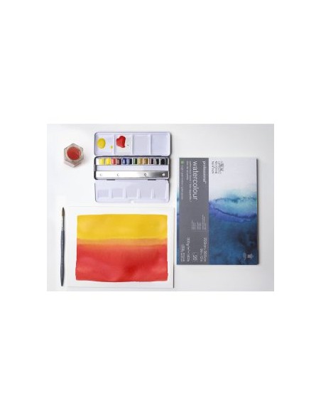 Professional watercolour Black Box W&N