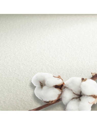 The Collection - Watercolour