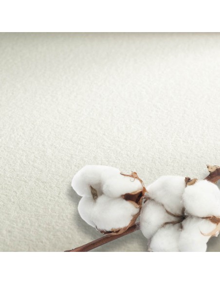 The Collection - Watercolour