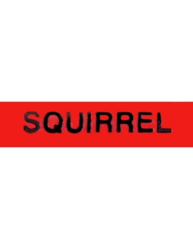 Pincel Squirrel 620F abanico