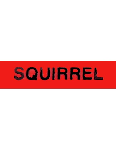 Pincel Squirrel 620F abanico