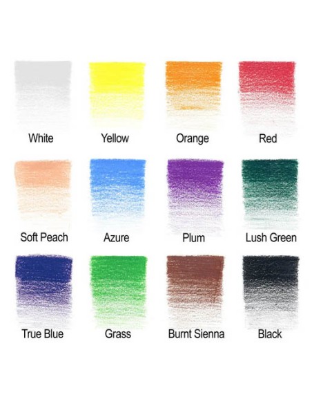 Studio collection colour pencil