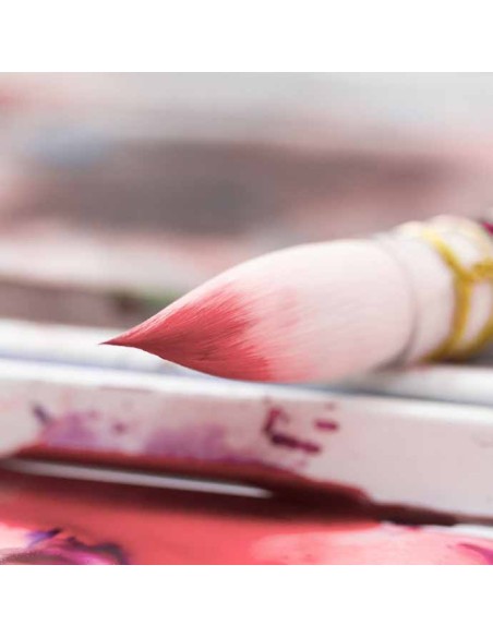 Pretty pink Da Vinci 494