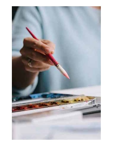 Pretty pink Da Vinci 494