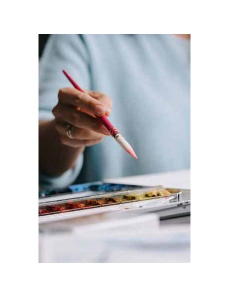 Pretty pink Da Vinci 494