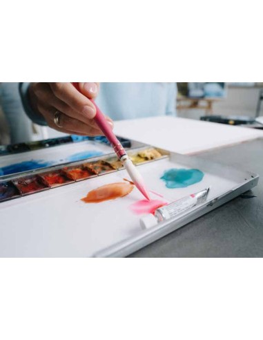 Pretty pink Da Vinci 494