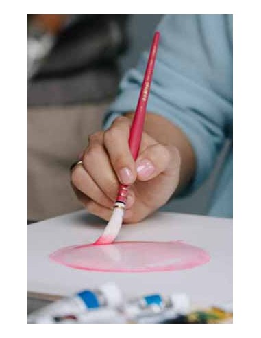 Pretty pink Da Vinci 494