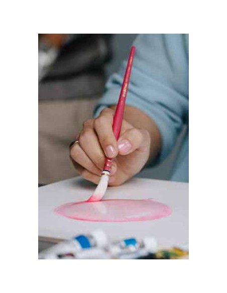 Pretty pink Da Vinci 494