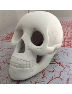 Calavera 2