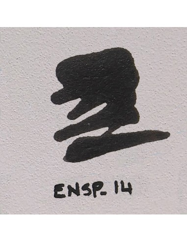 Engobe ENSP- 14 Avellana