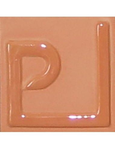 Engobe ENSP-25 Maquillaje