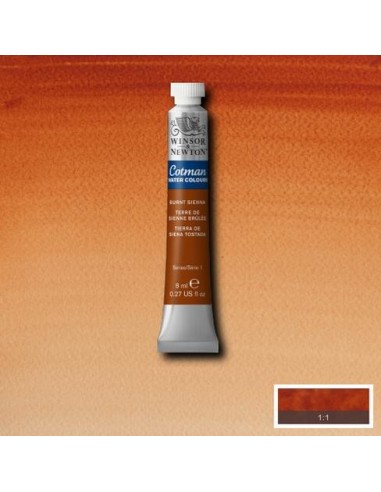 Acuarela Cotman 8ml Winsor & Newton