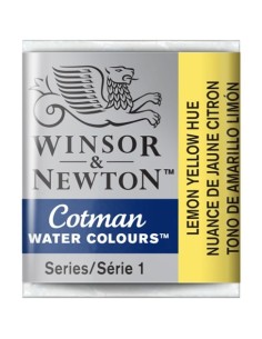 Acuarela Cotman Medio Godets Winsor & Newton 2