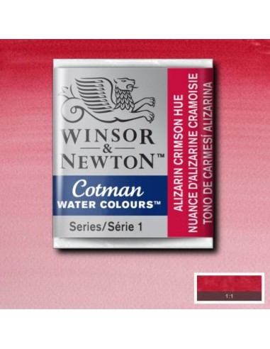 Acuarela Cotman Medio Godets Winsor & Newton