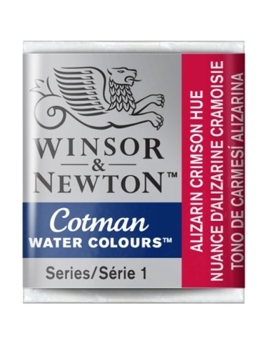 Acuarela Cotman Medio Godets Winsor & Newton