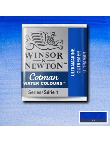 Acuarela Cotman Medio Godets Winsor & Newton