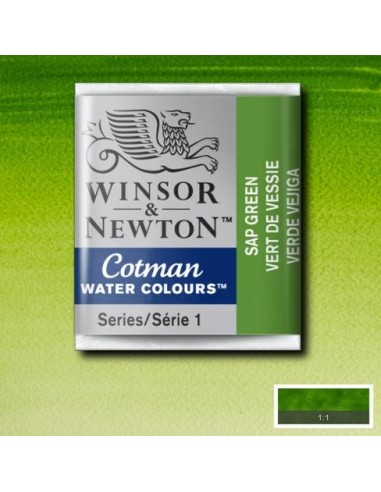 Acuarela Cotman Medio Godets Winsor & Newton