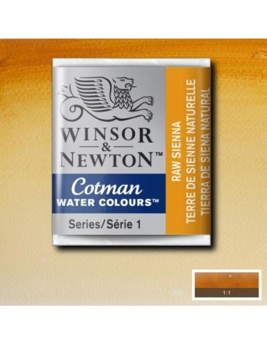 Acuarela Cotman Medio Godets Winsor & Newton