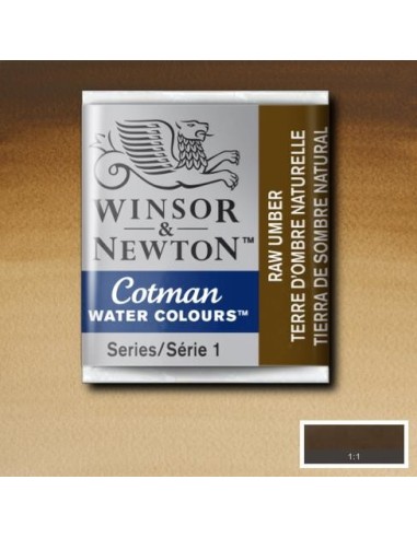 Acuarela Cotman Medio Godets Winsor & Newton