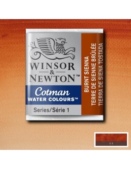 Acuarela Cotman Medio Godets Winsor & Newton