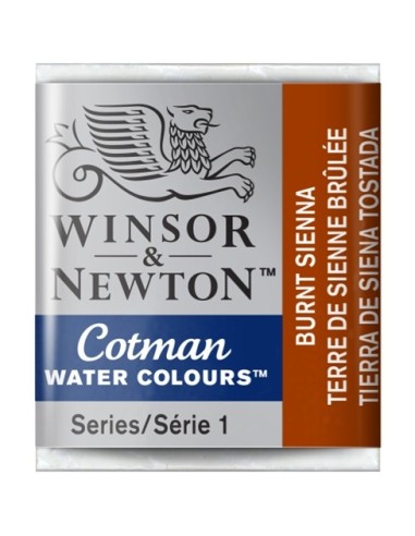 Acuarela Cotman Medio Godets Winsor & Newton