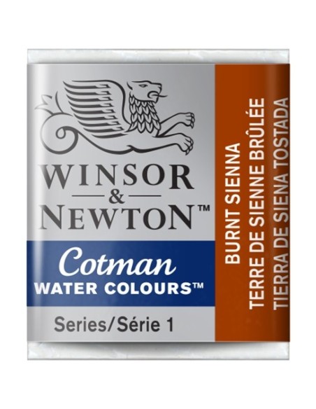 Acuarela Cotman Medio Godets Winsor & Newton