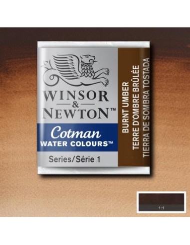 Acuarela Cotman Medio Godets Winsor & Newton