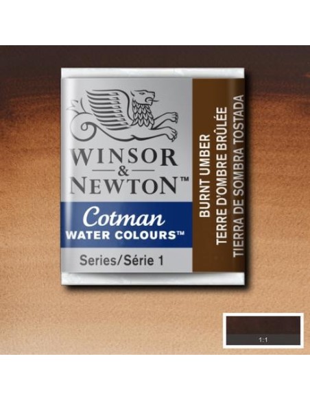 Acuarela Cotman Medio Godets Winsor & Newton