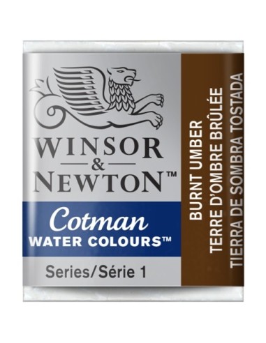 Acuarela Cotman Medio Godets Winsor & Newton