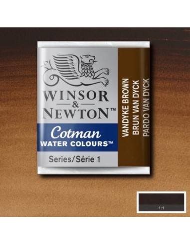 Acuarela Cotman Medio Godets Winsor & Newton