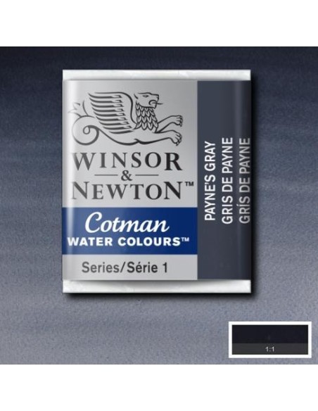 Acuarela Cotman Medio Godets Winsor & Newton