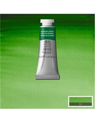 Acela Extra-Fina Winsor & Newton