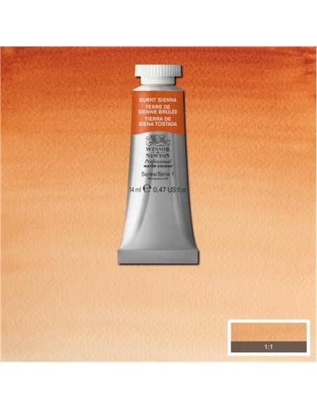 Acela Extra-Fina Winsor & Newton