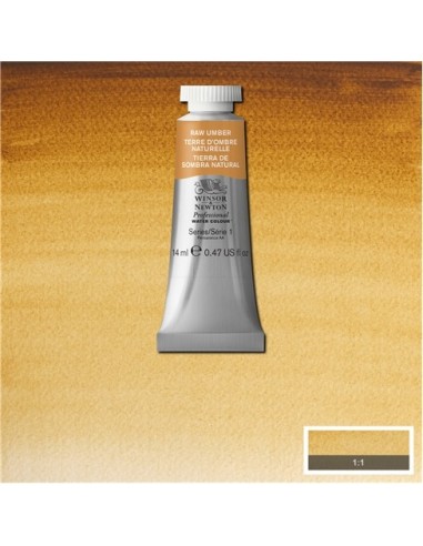 Acela Extra-Fina Winsor & Newton