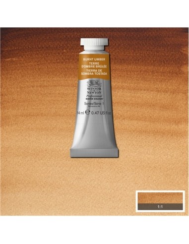 Acela Extra-Fina Winsor & Newton