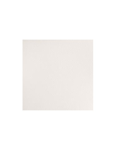 Acela Extra-Fina Winsor & Newton