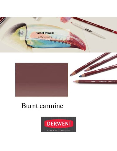 Lápices Pastel Derwent