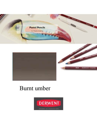 Lápices Pastel Derwent