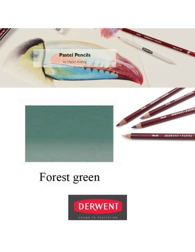 Lápices Pastel Derwent