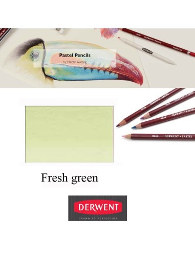 Lápices Pastel Derwent