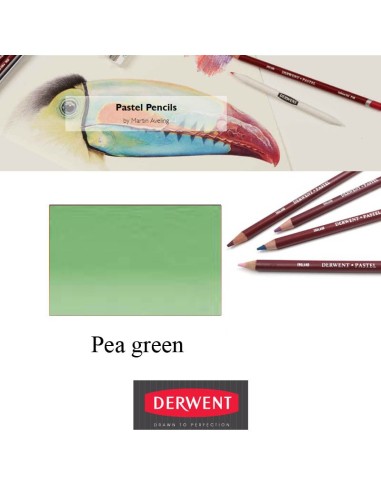 Lápices Pastel Derwent