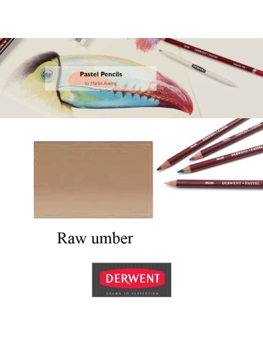 Lápices Pastel Derwent