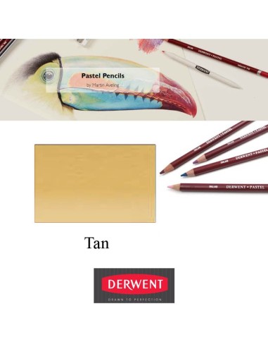 Lápices Pastel Derwent