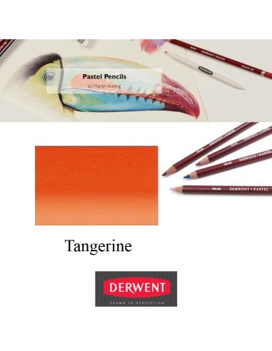 Lápices Pastel Derwent