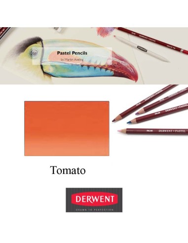 Lápices Pastel Derwent