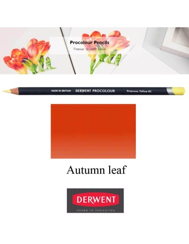 Lápices Procolour Derwent