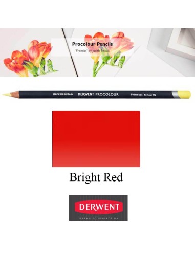 Lápices Procolour Derwent