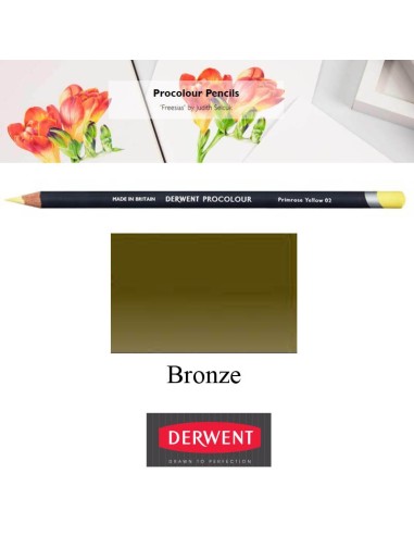 Lápices Procolour Derwent