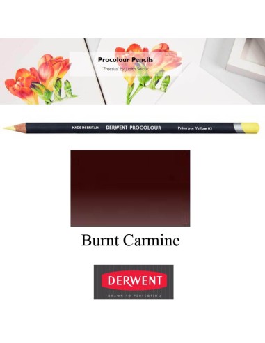 Lápices Procolour Derwent