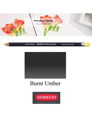 Lápices Procolour Derwent